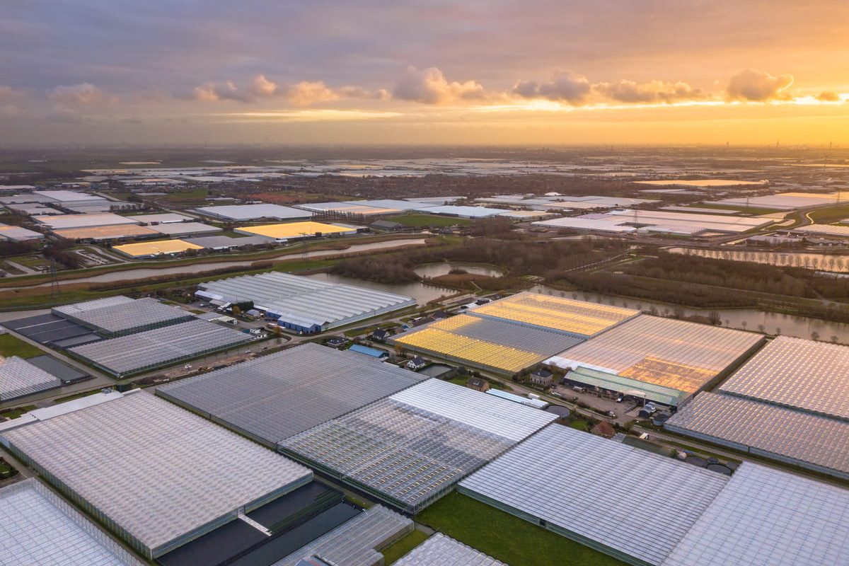 Vista aérea polígono industrial